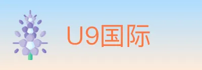 U9国际 logo